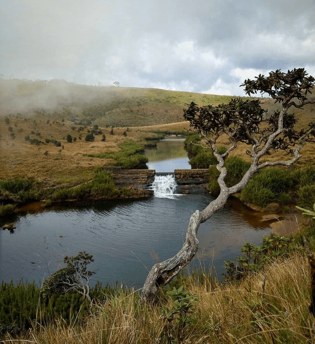 Horton Plains National Park