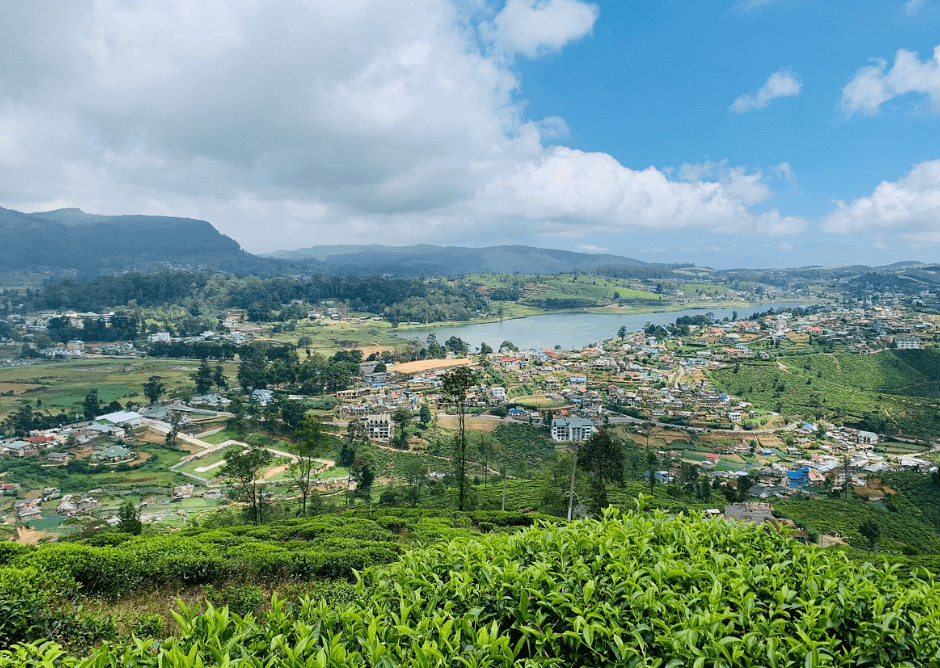 Single Tree Hill Climb