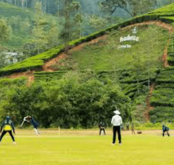 Cricket Tournament “Mayor's Cup” (Old Xaverians vs Gamini CC)