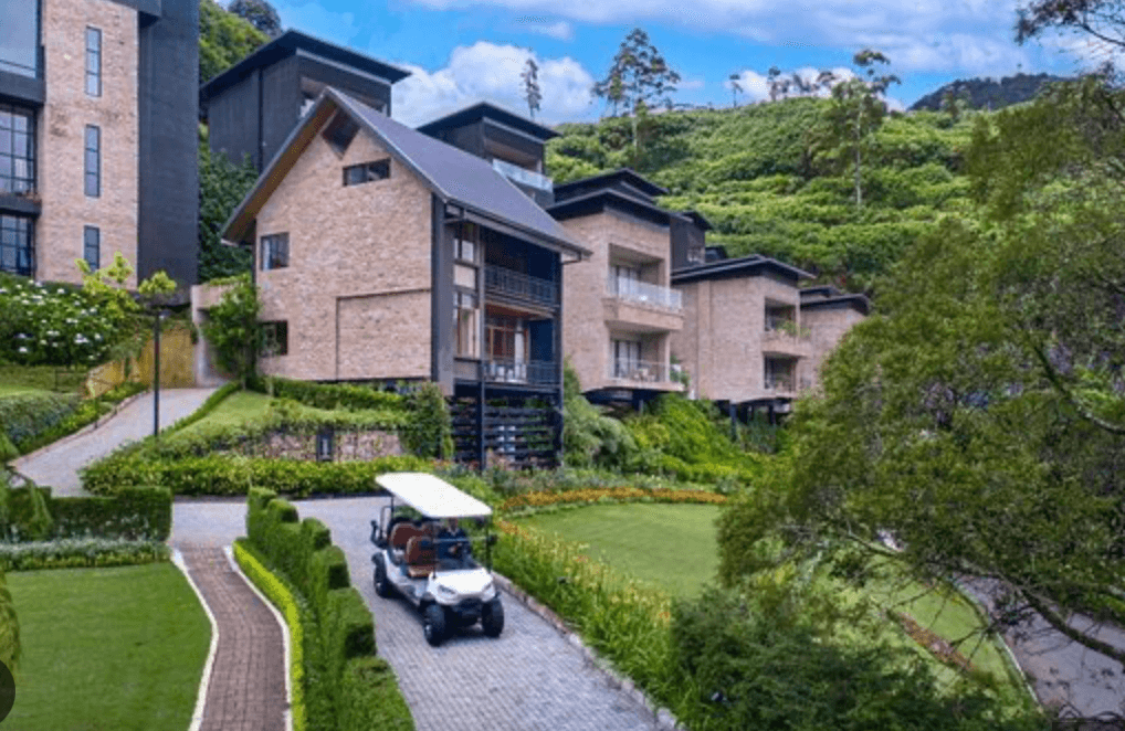 The Golden Ridge Hotel